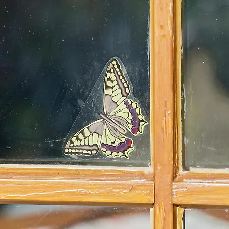 In The Knuellgebirge With Balcony *